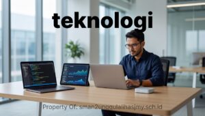 panduan-praktis-memilih-software-bisnis