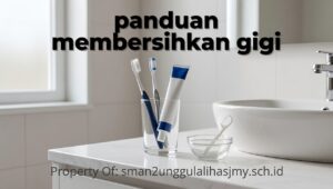 panduan-praktis-membersihkan-gigi-benar